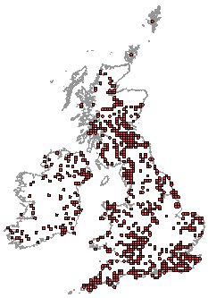 Distribution map of Pscoptera records